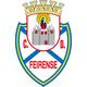 费伦斯球队图片